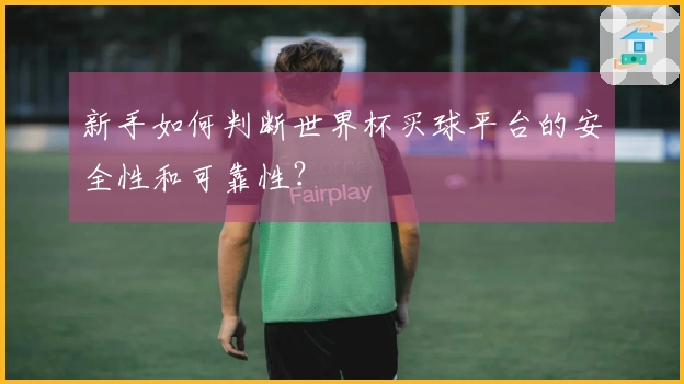 新手如何判断世界杯买球平台的安全性和可靠性？