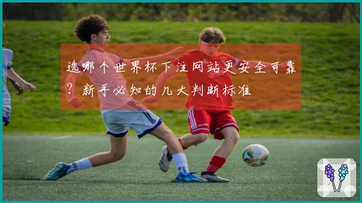 选哪个世界杯下注网站更安全可靠？新手必知的几大判断标准