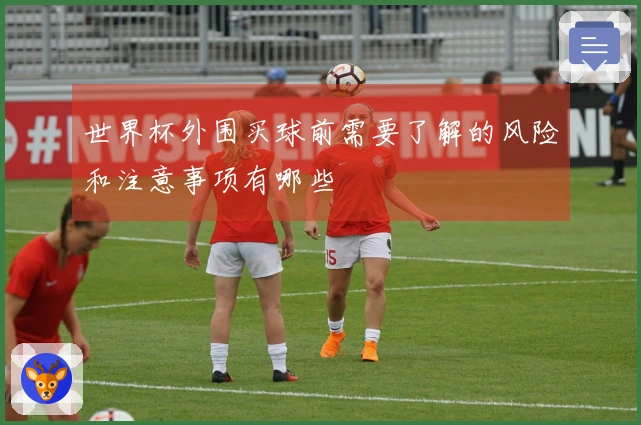 世界杯外围买球前需要了解的风险和注意事项有哪些