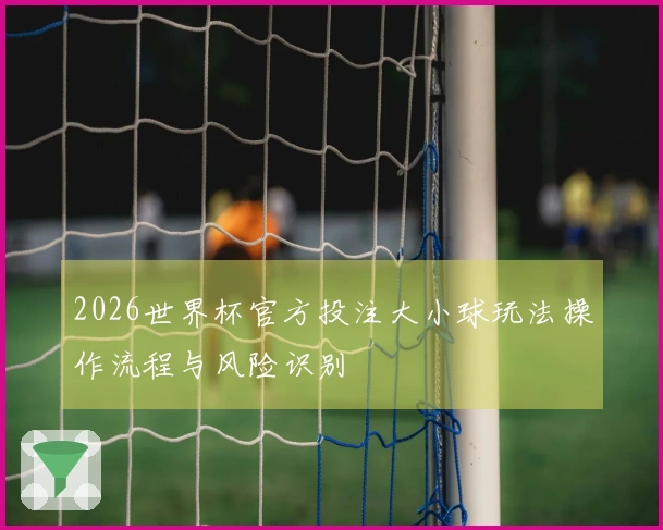 2026世界杯官方投注大小球玩法操作流程与风险识别
