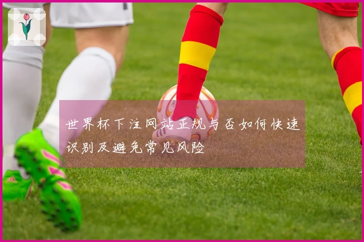 世界杯下注网站正规与否如何快速识别及避免常见风险