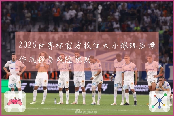 2026世界杯官方投注大小球玩法操作流程与风险识别