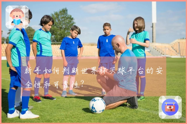 新手如何判断世界杯买球平台的安全性和可靠性？